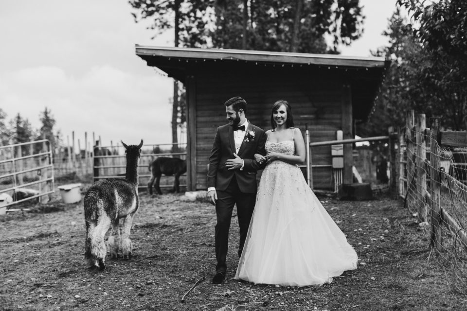 September Kelowna Wedding